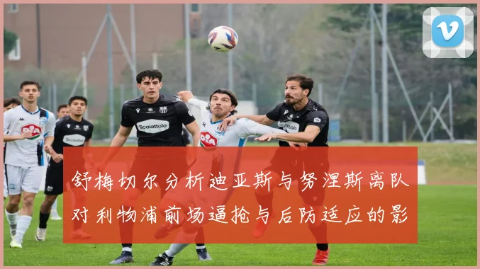 舒梅切尔分析迪亚斯与努涅斯离队对利物浦前场逼抢与后防适应的影响